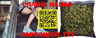 молекула духа Гусев